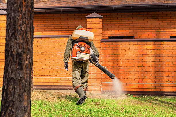 Trusted Mosquito Control service in Dundas, MN - Nex Pest Control